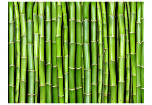 Fototapeet - Bamboo wall hind ja info | Fototapeedid | hansapost.ee