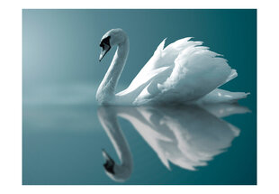 Fototapeet - White swan цена и информация | Фотообои | hansapost.ee