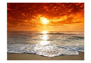 Fototapeet - Marvelous sunset hind ja info | Fototapeedid | hansapost.ee