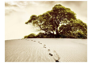 Fototapeet - Tree in the desert цена и информация | Фотообои | hansapost.ee