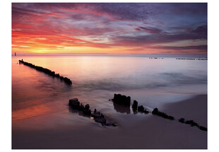 Fototapeet - Sunrise over the Baltic Sea hind ja info | Fototapeedid | hansapost.ee