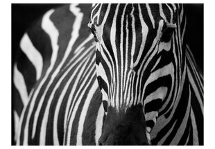 Fototapeet - White with black stripes hind ja info | Fototapeedid | hansapost.ee