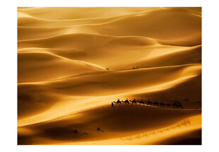 Fototapeet - Caravan of camels цена и информация | Фотообои | hansapost.ee