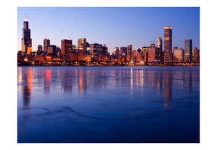 Fototapeet - Icy Downtown Chicago hind ja info | Fototapeedid | hansapost.ee