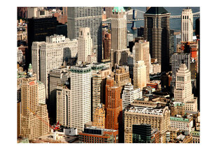Fototapeet - skyscrapers, Manhattan hind ja info | Fototapeedid | hansapost.ee