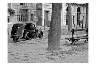 Fototapeet - Peaceful French street hind ja info | Fototapeedid | hansapost.ee