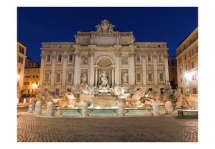 Fototapeet - Trevi Fountain - Rome hind ja info | Fototapeedid | hansapost.ee