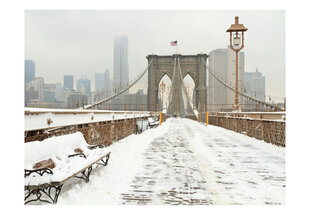 Fototapeet - Snow-covered bridge in New York hind ja info | Fototapeedid | hansapost.ee