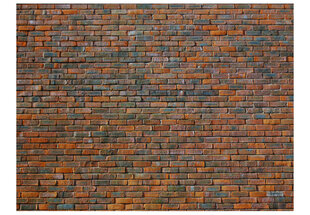 Fototapeet - Brick wall цена и информация | Фотообои | hansapost.ee