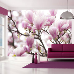 Fototapeet - Magnolia bloosom hind ja info | Fototapeedid | hansapost.ee