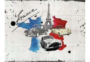 Fototapeet - Admirer of cars (France) hind ja info | Fototapeedid | hansapost.ee