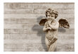 Fototapeet - Angelic Face hind ja info | Fototapeedid | hansapost.ee
