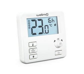 Paigaldus termostaat Wellmo WTH31.16 цена и информация | Taimeriga pistikud ja termostaadid | hansapost.ee