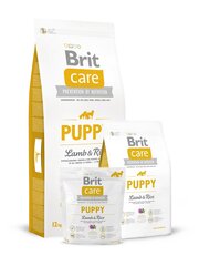 Kuivtoit koertele Brit Care Puppy All Breed Lamb amp Ri