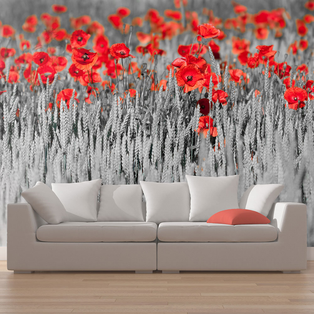 Fototapeet - Red poppies on black and white background hind ja info | Fototapeedid | hansapost.ee