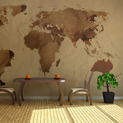 Fototapeet - Tea map of the World hind ja info | Fototapeedid | hansapost.ee