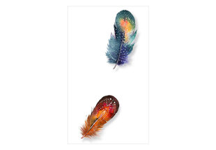 Fototapeet - Colorful Feathers hind ja info | Fototapeedid | hansapost.ee