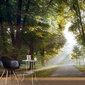 Fototapeet - Morning Walk цена и информация | Fototapeedid | hansapost.ee