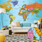 XXL fototapeet - World Map: Colourful Geography II hind ja info | Fototapeedid | hansapost.ee