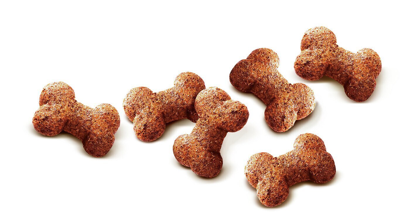 Carnilove Dog Snack Ostrich Blackberries maiused koerale 200g цена и информация | Koerte maiused | hansapost.ee