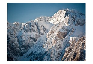 Фото обои - Зима в Альпах цена и информация | Фотообои | hansapost.ee