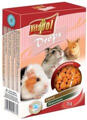 Vitapol капли для грызунов - морковные 75г цена и информация | Корм для грызунов | hansapost.ee