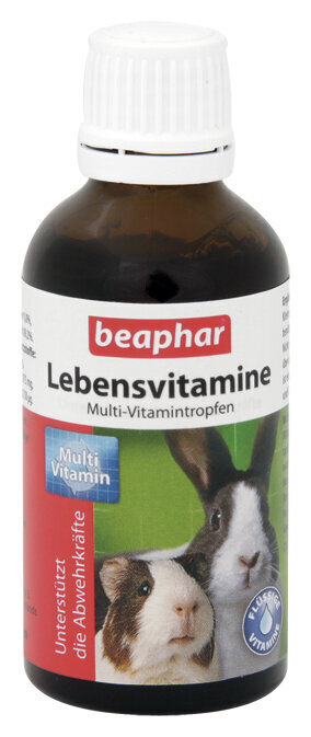 Vitamiinid närilistele BEAPHAR Lebens, 50 ml цена и информация | Toit väikeloomadele | hansapost.ee