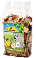 JR Farm šinšilų pašaro papildas Chinchillas Fruit Salad, 125 g hind ja info | Toit väikeloomadele | hansapost.ee