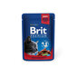 Konserv kassidele kotis Brit Premium Beef Stew&Peas 100g x 24 tk цена и информация | Kassikonservid | hansapost.ee