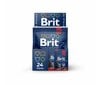 Konserv kassidele kotis Brit Premium Beef Stew&Peas 100g x 24 tk hind ja info | Kassikonservid | hansapost.ee