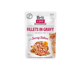 Brit Care Fillets in Gravy Savory Salmon märgtoit kassidele 85g hind ja info | Kassikonservid | hansapost.ee