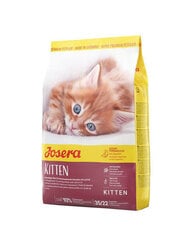 Kuivtoit kassipoegadele Josera Kitten, 10 kg hind ja info | Josera Lemmikloomatarbed | hansapost.ee