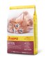 Kuivtoit kassipoegadele Josera Kitten, 2 kg hind ja info | Kassi kuivtoit ja kassikrõbinad | hansapost.ee