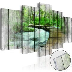Akrüülprintimine - Forest of Secrets [Glass] hind ja info | Seinapildid | hansapost.ee