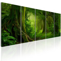 Maal - Tropical Jungle цена и информация | Картины, живопись | hansapost.ee