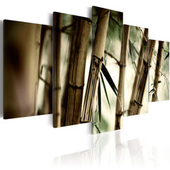 Maal - Asian bamboo forest hind ja info | Seinapildid | hansapost.ee