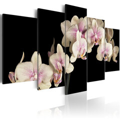 Maal - An orchid on a contrasting background цена и информация | Картины, живопись | hansapost.ee