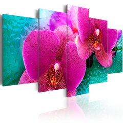 Maal - Exotic orchids hind ja info | Seinapildid | hansapost.ee