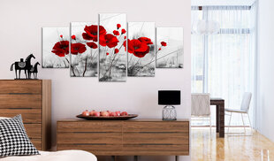 Maal - Poppies - Red Miracle цена и информация | Картины, живопись | hansapost.ee