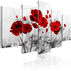 Maal - Poppies - Red Miracle цена и информация | Картины, живопись | hansapost.ee