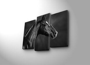 Kolmeosaline reproduktsioon Must hobune hind ja info | Seinapildid | hansapost.ee