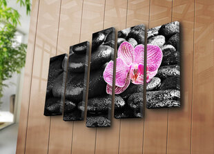 Репродукция из пяти частей Орхидея и камни цена и информация | Репродукции, картины | hansapost.ee