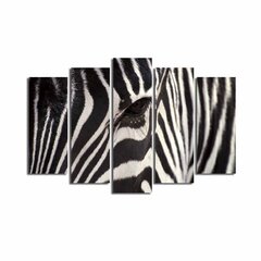 Viieosaline reproduktsioon Zebra hind ja info | Seinapildid | hansapost.ee