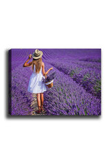 Reproduktsioon Tüdruk lavendlipõllul hind ja info | Seinapildid | hansapost.ee
