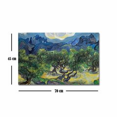 Reproduktsioon Starry Night (Vincent Van Gogh) hind ja info | Seinapildid | hansapost.ee
