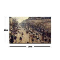 Репродукция Boulevard Montmartre en la mañana de invierno (Camille Pissarro) цена и информация | Настенные деревянные декорации | hansapost.ee