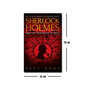 Reproduktsioon Sherlock Holmes hind ja info | Seinapildid | hansapost.ee