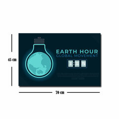 Репродукция Earth Hour цена и информация | Репродукции, картины | hansapost.ee