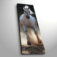 Репродукция Белая лошадь цена и информация | Настенные деревянные декорации | hansapost.ee