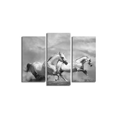 Репродукция из трех частей Белые лошади цена и информация | Настенные деревянные декорации | hansapost.ee